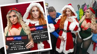 Mrs. Claus és csábító tündér segédei elrabolnak, majd szenvedélyesen megbüntetnek